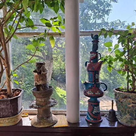 Апартаменты - Garden View & Art Gallery Белград